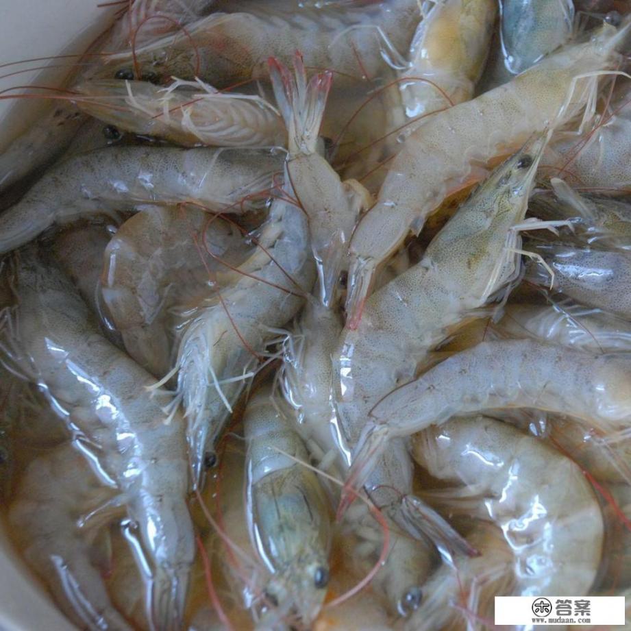煮虾需要几分钟？