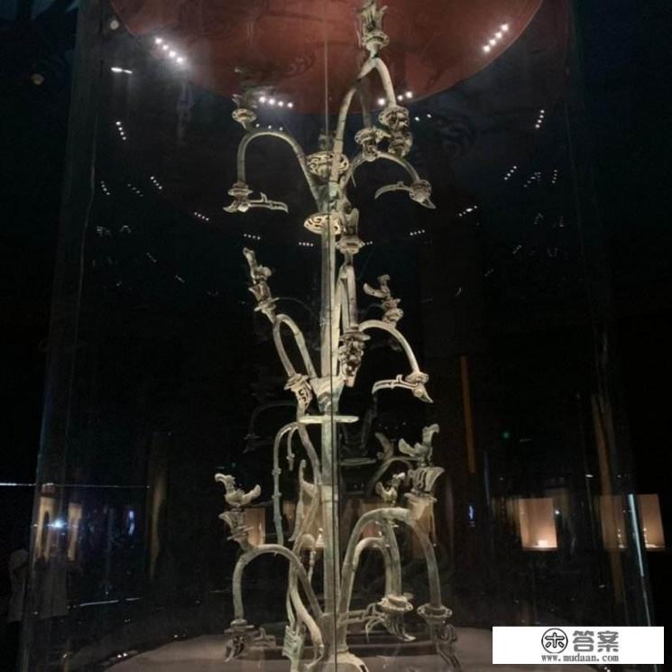 为什么那么重视三星堆文化？对于它，还有哪些未解的疑惑？