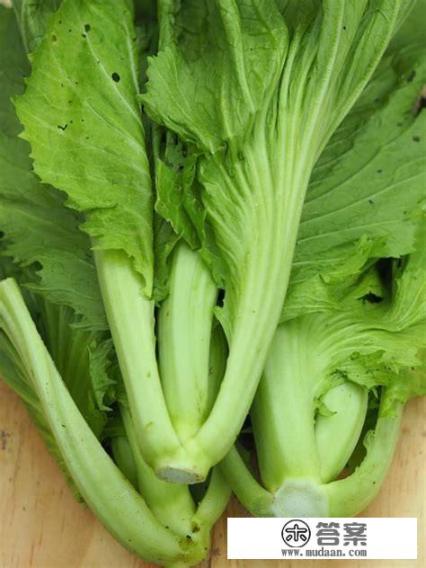 芥菜三种模样? 芥菜三种模样?