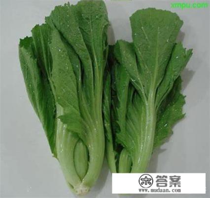芥菜三种模样? 芥菜三种模样?