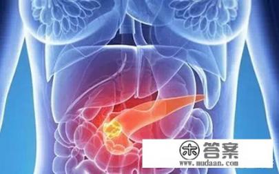 胰腺在人体的哪个部位？