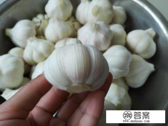 糖蒜怎么泡? 糖蒜怎么泡?