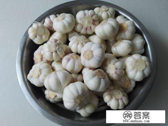 糖蒜怎么泡? 糖蒜怎么泡?
