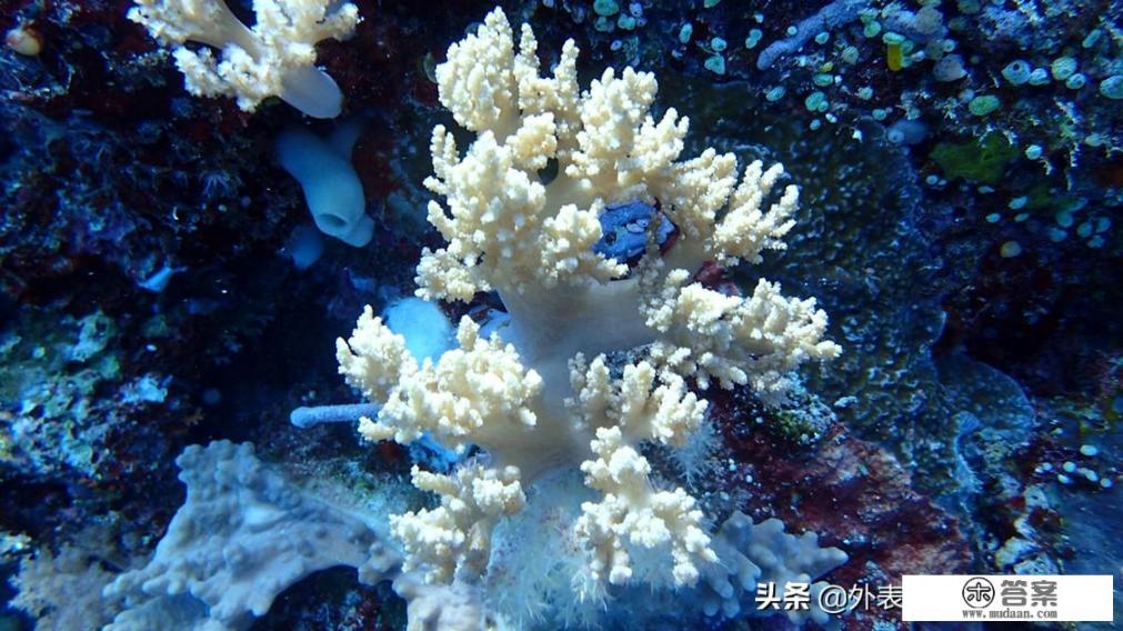 娘家老是插手夫妻的事，你们觉得该不该插手呢？