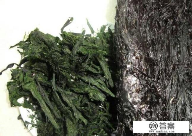 海藻和海苔的区别？