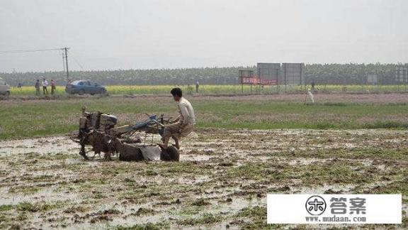 我刚大学毕业，还没工作，我想办个信用卡，能行吗？