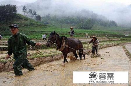 我刚大学毕业，还没工作，我想办个信用卡，能行吗？