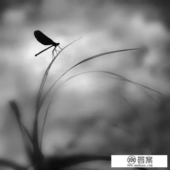 如何理解现代社会抑郁症患者的内心世界？应该如何给予该类群体适度的帮助？