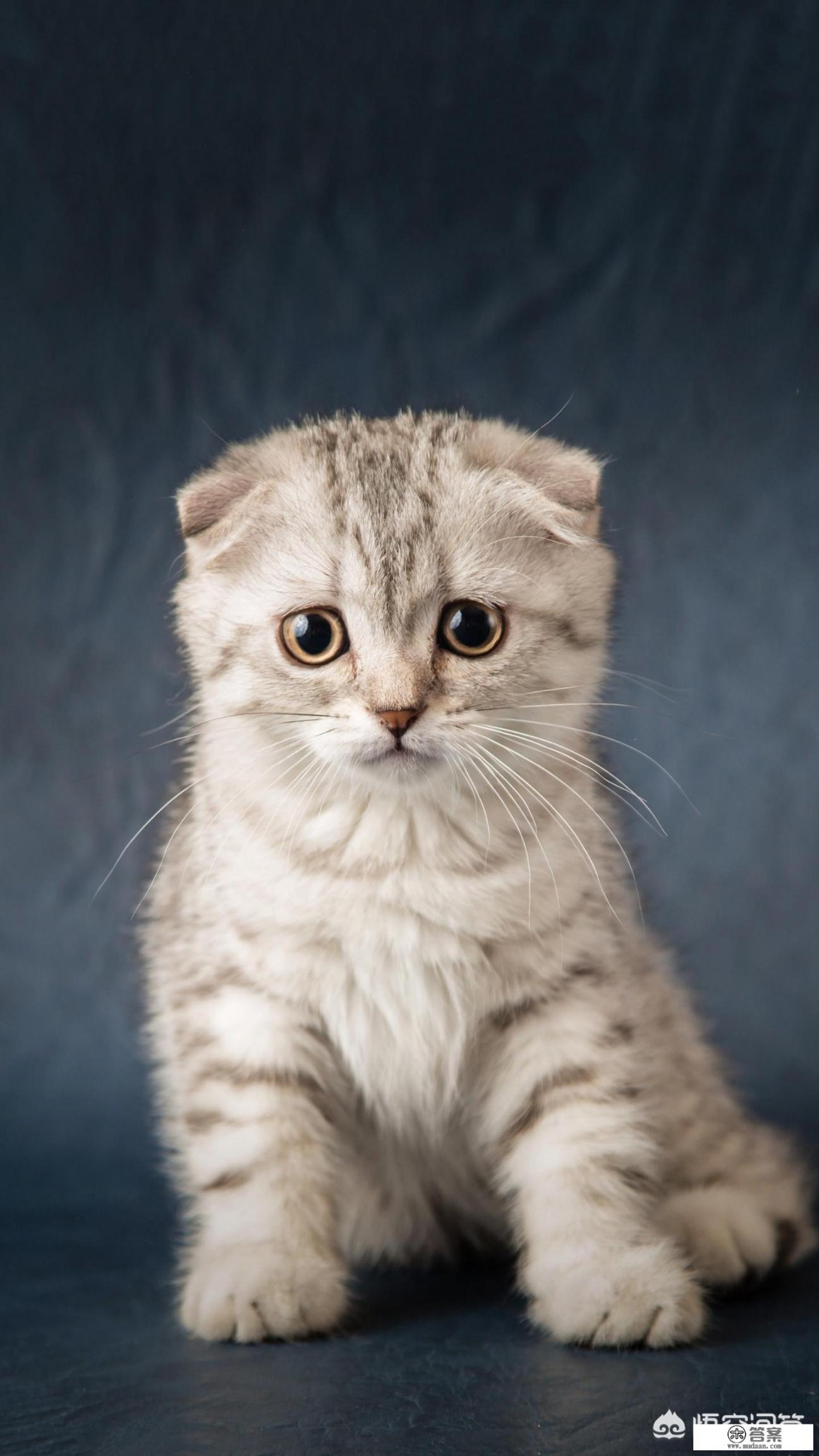 遇到一个不讲理的嫂子,躲不开又撵不走该怎么办?