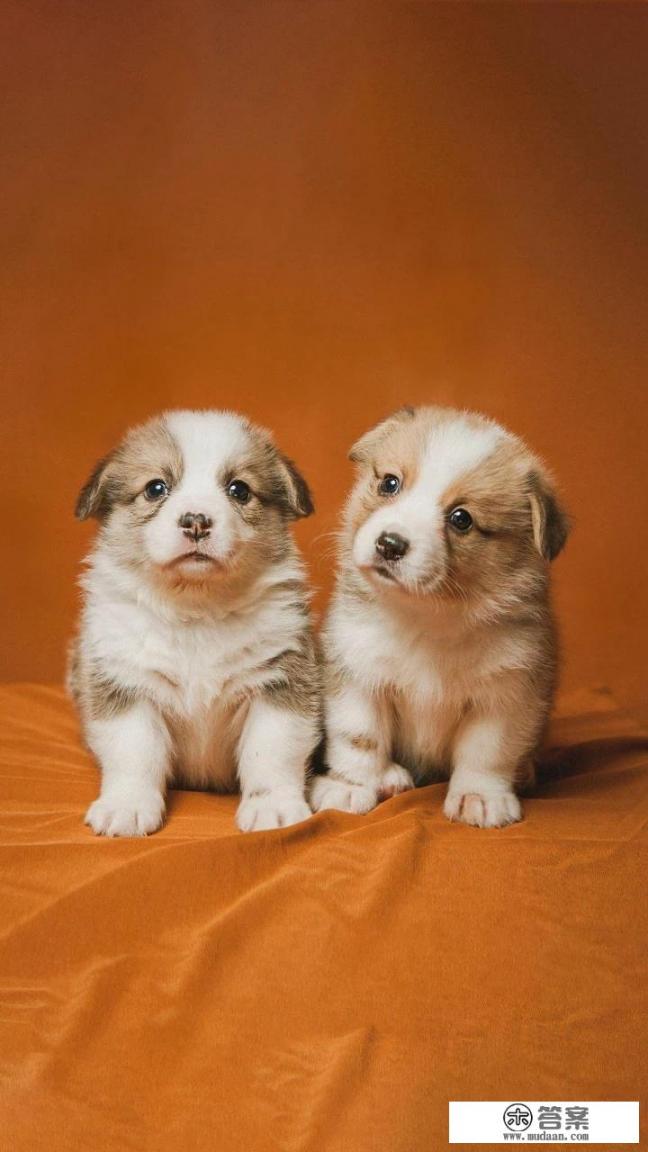 遇到一个不讲理的嫂子，躲不开又撵不走该怎么办？