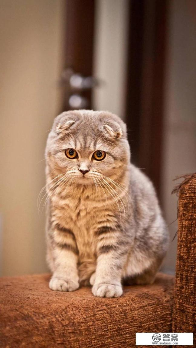 遇到一个不讲理的嫂子，躲不开又撵不走该怎么办？