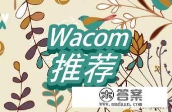 手绘板是什么？