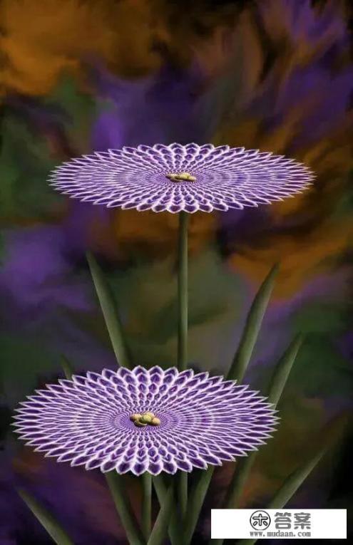 嘴角起泡怎么回事？