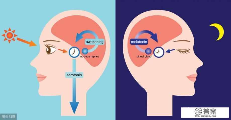 宝宝睡眠黑白颠倒是怎么回事? 宝宝睡眠黑白颠倒是怎么回事?