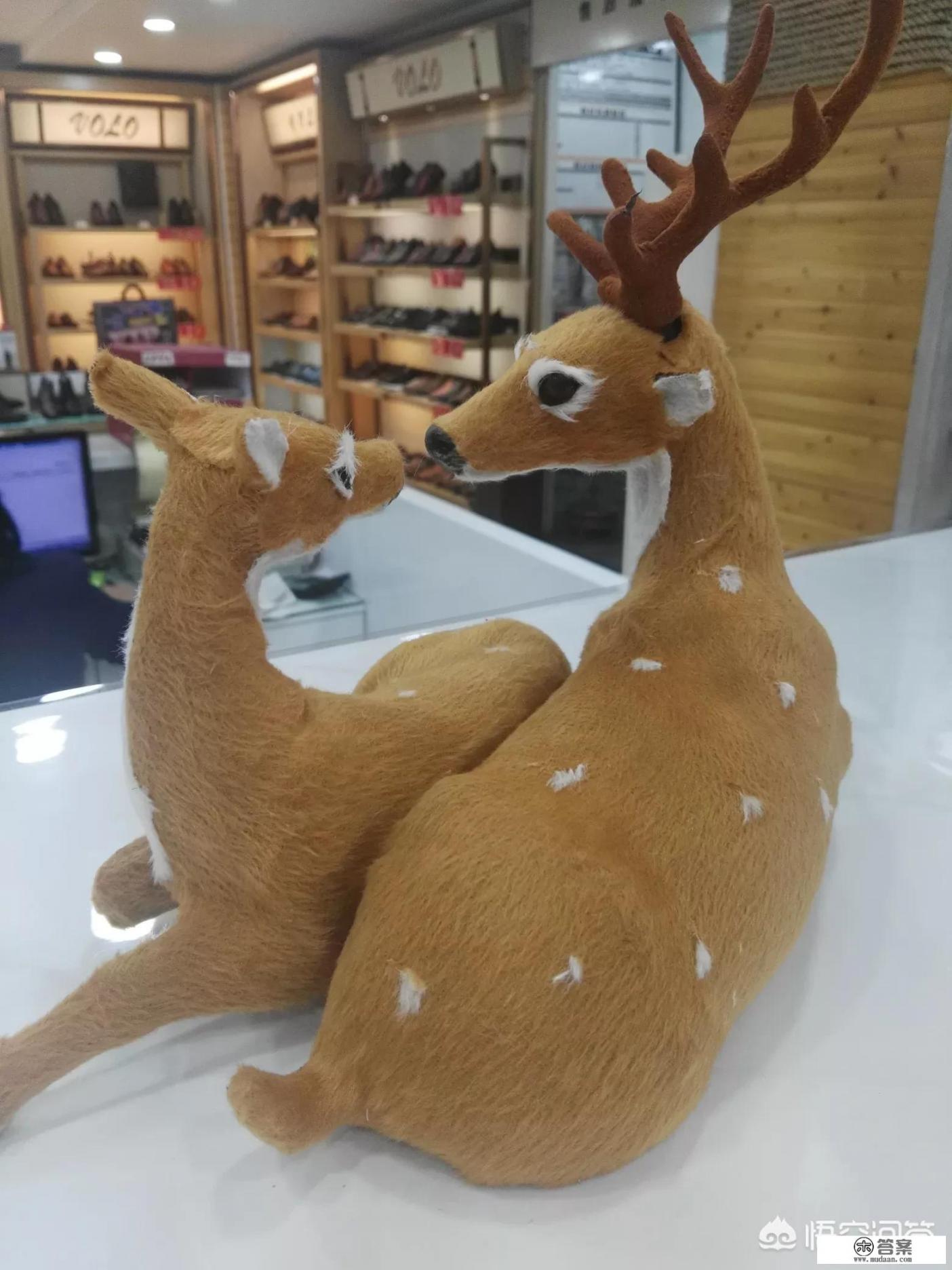 扑通扑通的心动文案？