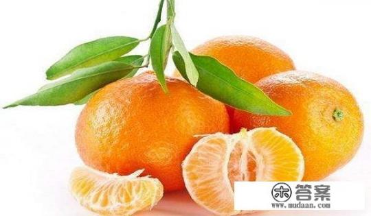 冬天吃的水果？