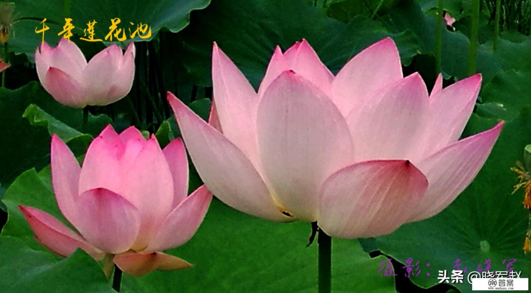 单身男女的苦恼? 单身男女的苦恼?