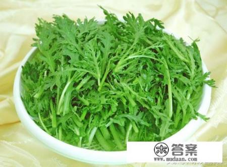 茼蒿菜的营养价值？