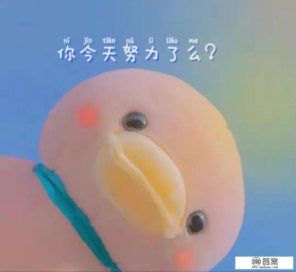 看到网上许多人都辞职专职写小说，比如在番茄、塔读，靠谱吗？