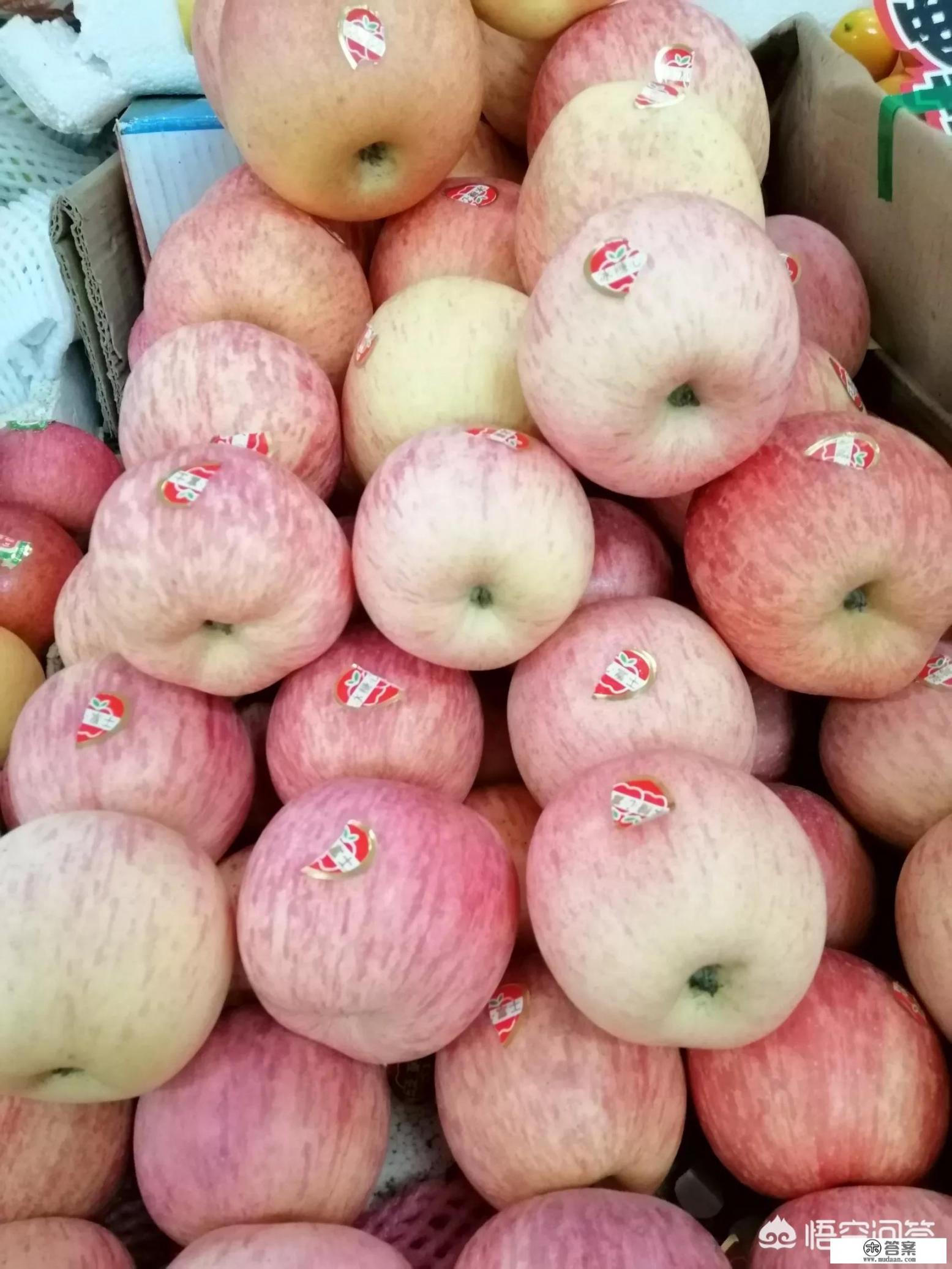 苹果airpods5发售时间? 苹果airpods5发售时间?