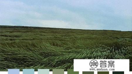 今天呼市的天气怎么雾特别大？