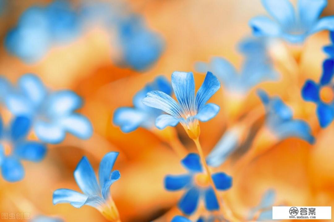 女性紧致抗衰老的精华? 女性紧致抗衰老的精华?