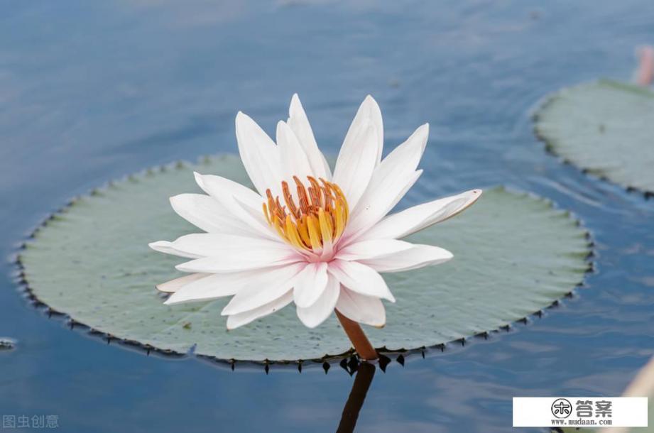 女性紧致抗衰老的精华? 女性紧致抗衰老的精华?