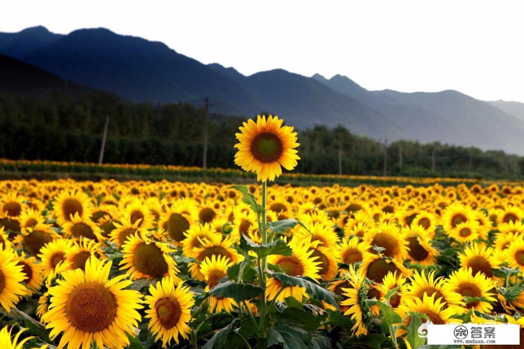 如果宝宝不大的话，多吃点水果好不好？