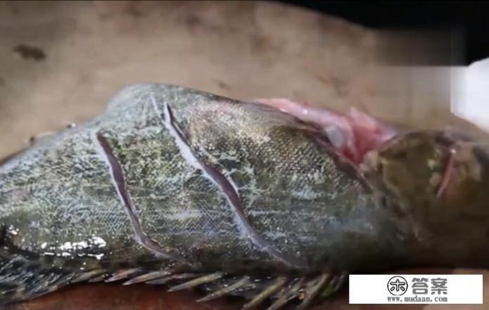 臭桂鱼的腌制方法和做法？