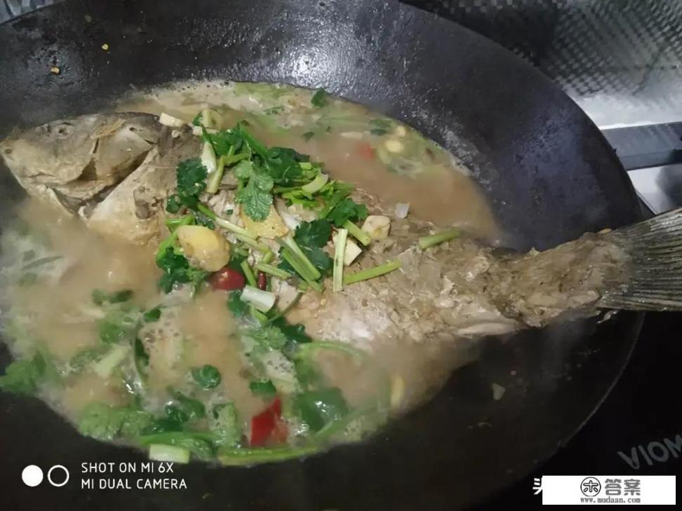 人可以讨厌或者喜欢香菜到什么地步？