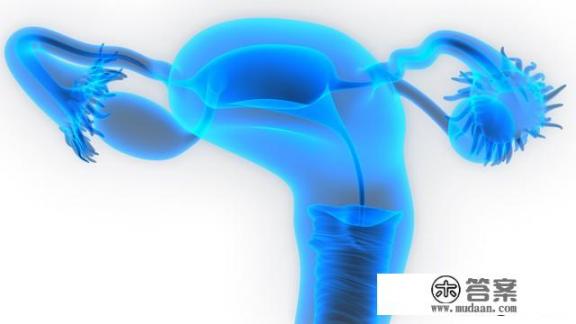 学生的内衣36/80是多大的罩杯啊? 学生的内衣36/80是多大的罩杯啊?