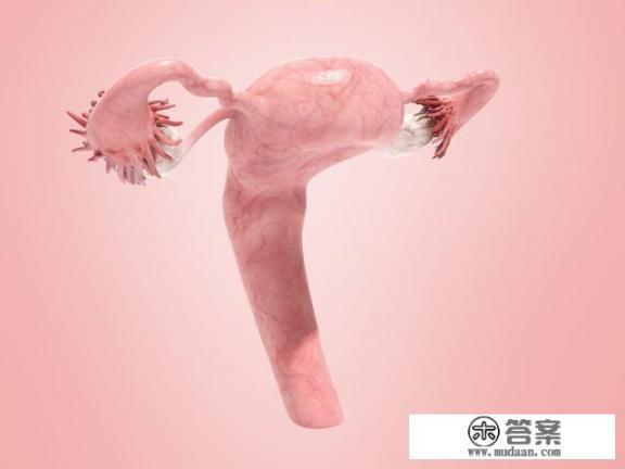 学生的内衣36/80是多大的罩杯啊? 学生的内衣36/80是多大的罩杯啊?