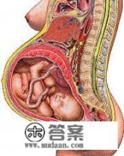 孕妇可以穿牛仔裤吗? 孕妇可以穿牛仔裤吗?