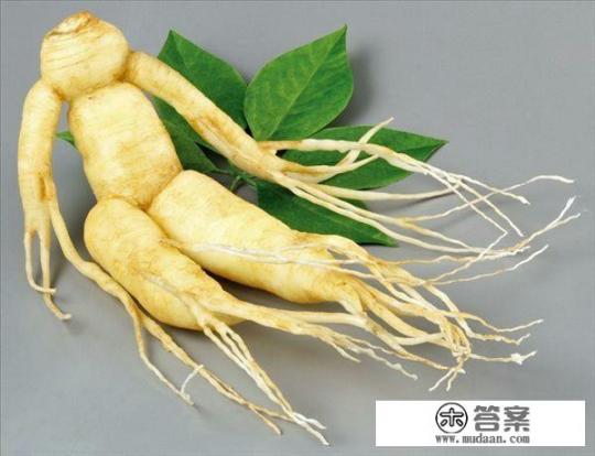 泡高丽参酒为什么浮参? 泡高丽参酒为什么浮参?