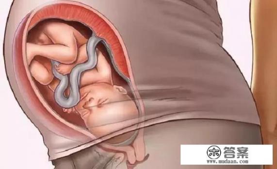 8个月的宝宝在肚子里长啥样？
