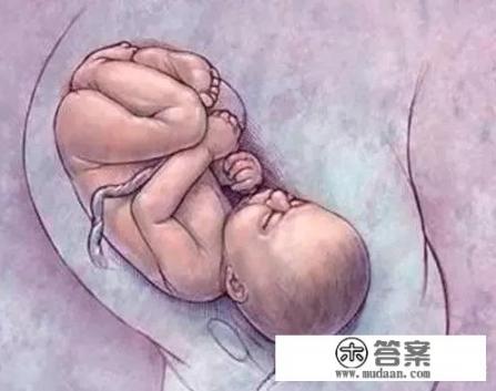 8个月的宝宝在肚子里长啥样？