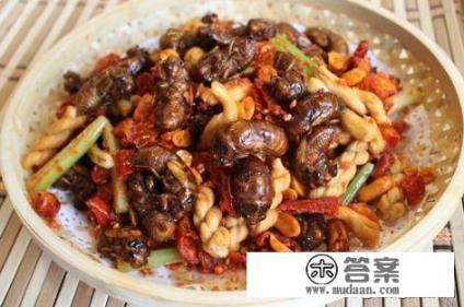 已经会飞的知了怎么做好吃？