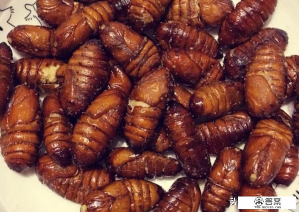 已经会飞的知了怎么做好吃？