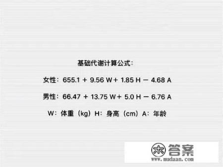 每天慢跑半小时的好处？