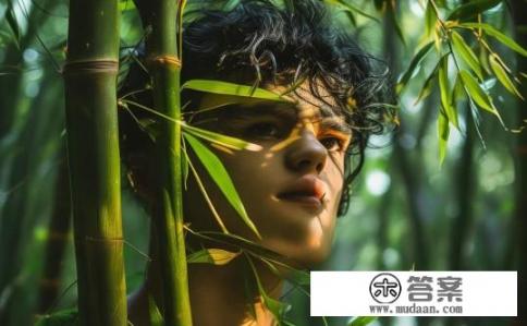 男主是竹子成精的洪荒小说？洪荒竹精男主的故事？竹子修炼成仙，洪荒时期竹精男儿的神秘旅程