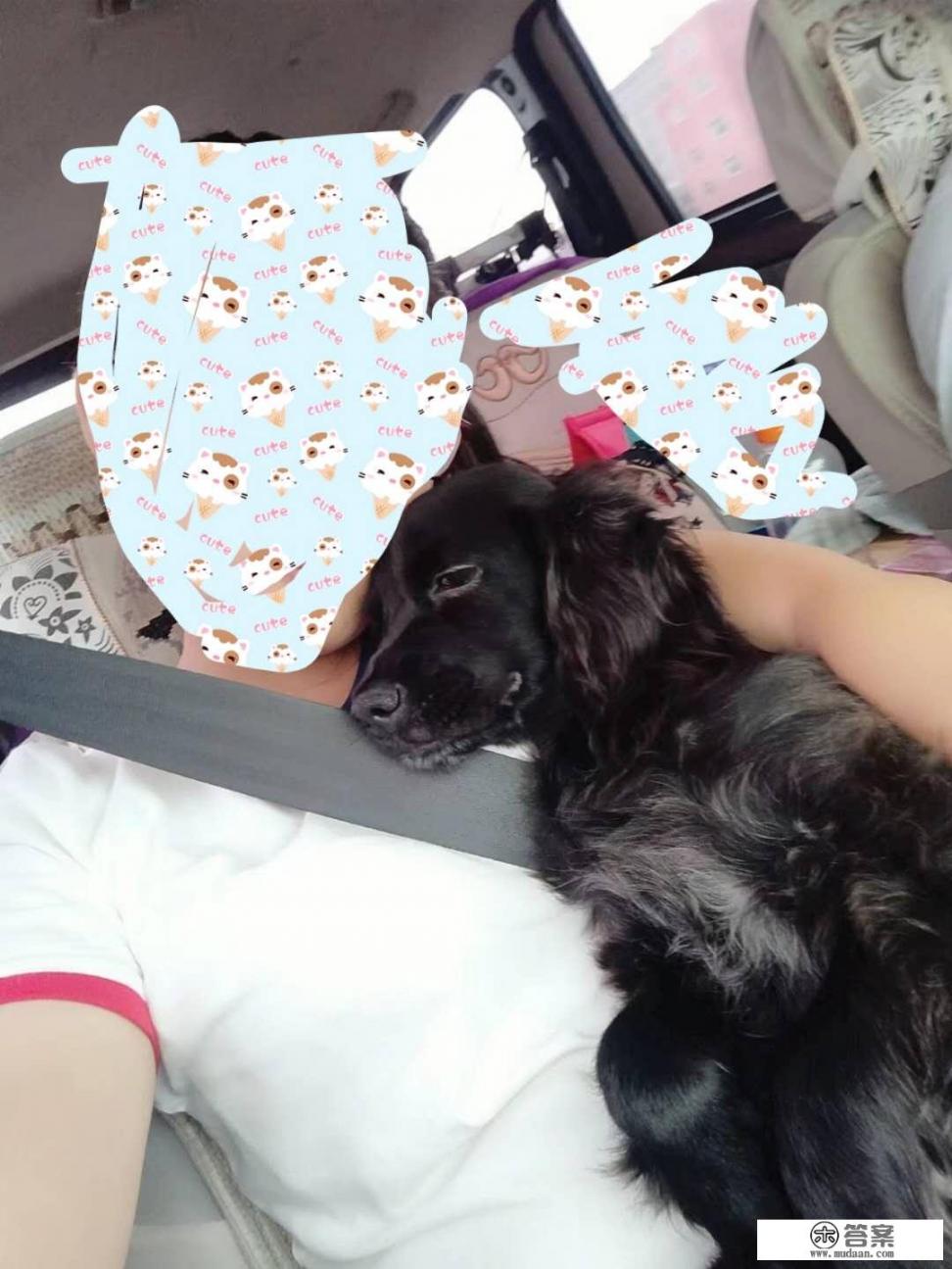 能否晒下你家的萌宠、“神兽”? 能否晒下你家的萌宠、“神兽”?