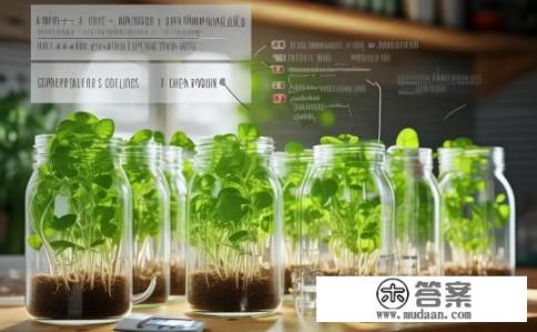 生黄豆芽的正确方法和注意事项?黄豆芽的培育方法与注意事项有哪些?如何科学育种生黄豆芽,避免失败并实现快速生长? 生黄豆芽的正确方法和注意事项?黄豆芽的培育方法与注意事项有哪些?如何科学育种生黄豆芽,避免失败并实现快速生长?