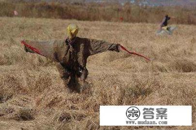 晚上走夜路，你们碰到过什么古怪的事情？