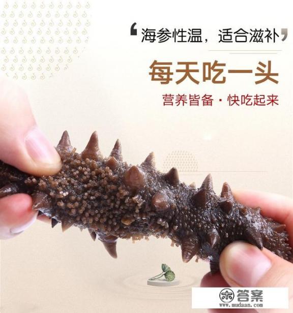 海参的功效有哪些?哪些人不宜吃海参? 海参的功效有哪些?哪些人不宜吃海参?