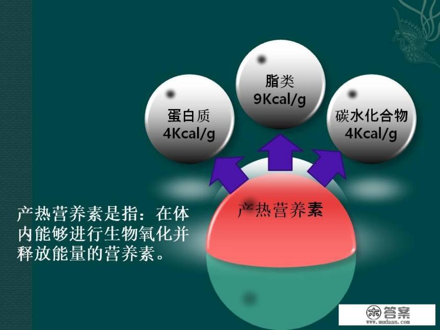算食物热量公式是什么? 算食物热量公式是什么?