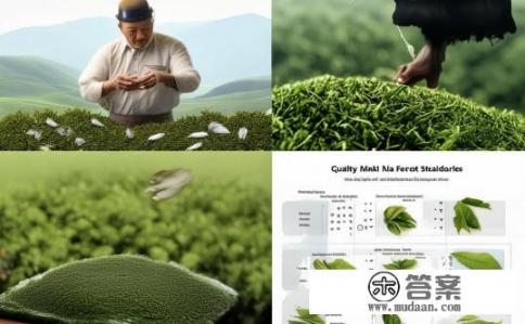 如何分辨安吉白茶的优劣？如何辨别安吉白茶品质优劣？鉴别安吉白茶优劣，特征与品质标准解析