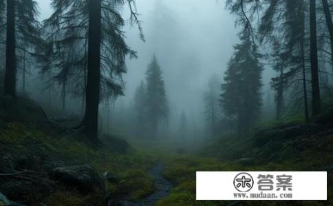 荒野的召唤为什么没有追踪足迹？荒野追踪足迹为何缺失？荒野追踪足迹消失之谜，探索为何探险队伍无法找到足迹踪迹?