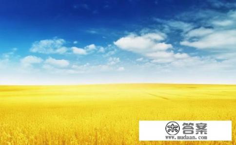 蒲公英的作用和功效是什么呢？蒲公英的功效与作用具体有哪些?