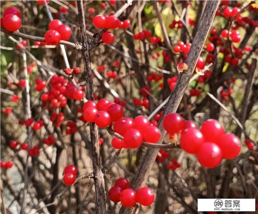 想哭的时候到底是憋回去好,还是哭出来好?为什么? 想哭的时候到底是憋回去好,还是哭出来好?为什么?