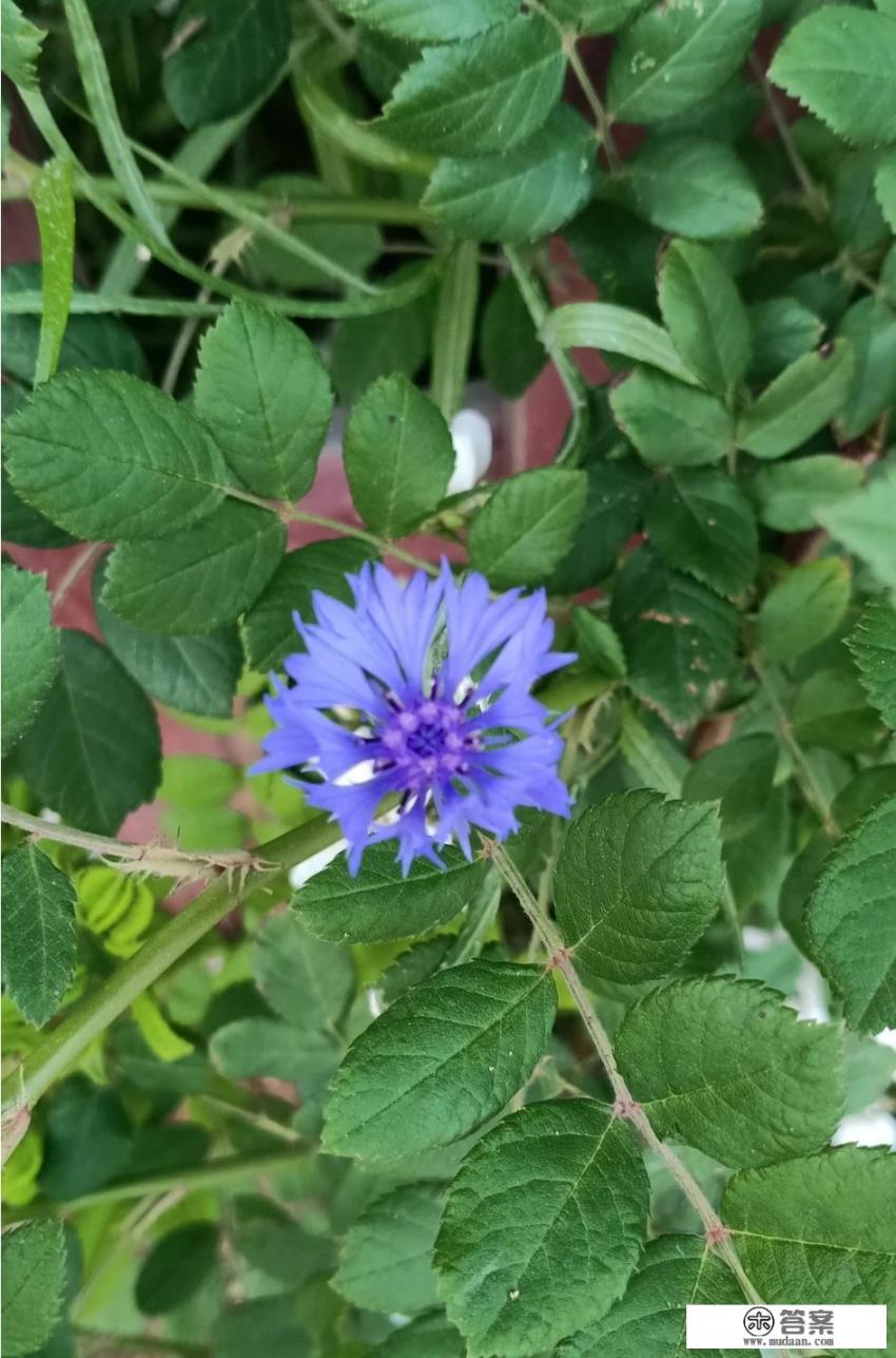 想哭的时候到底是憋回去好,还是哭出来好?为什么? 想哭的时候到底是憋回去好,还是哭出来好?为什么?